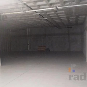 1782940667.jpg