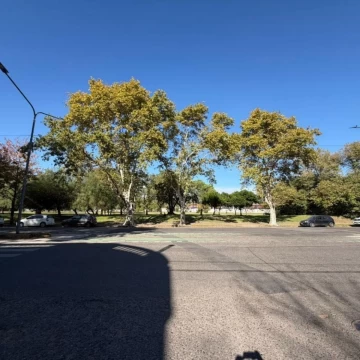 1782940676.jpeg