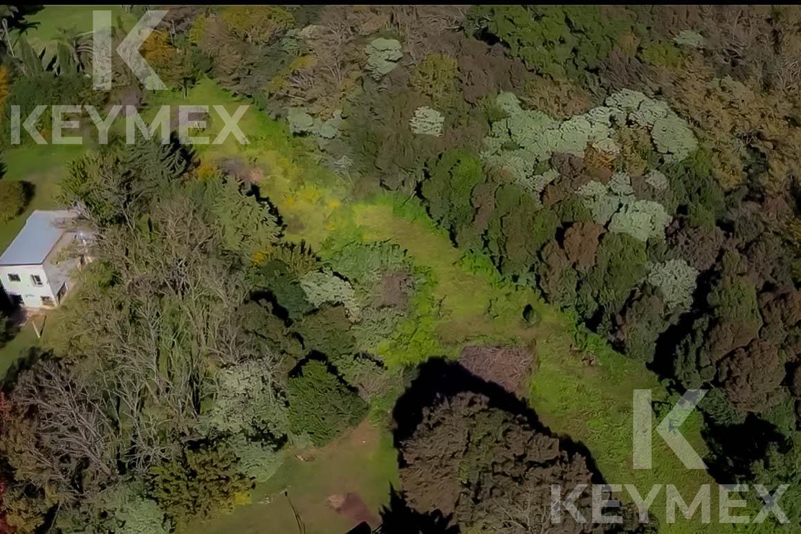 image 23