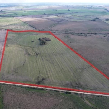 Campo en Palo Solo