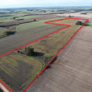Campo agricola de 22,5 has en Cañada Nieto