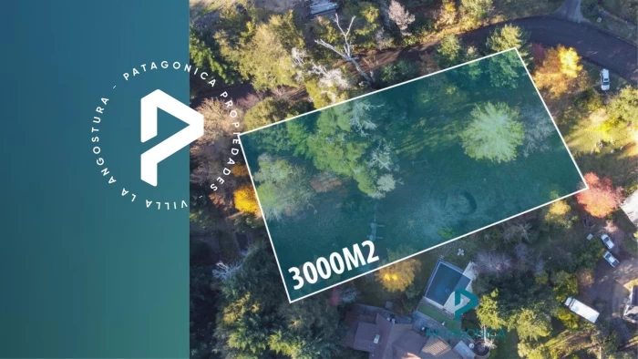 VENTA  LOTE 3000m2, PUERTO, VILLA LA ANGOSTURA
