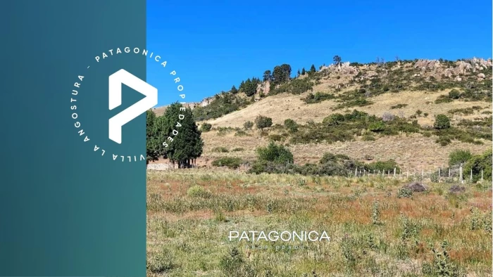 VENTA LOTE 6.672m2 s/ RUTA PROV.61, HUECHULAFQUEN, JUNIN DE LOS ANDES