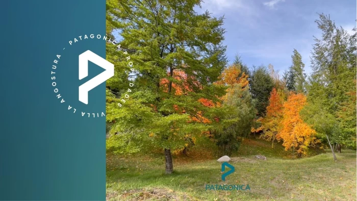 VENTA LOTE 2.300m2 B° CERRADO CAREN HUE, VILLA LA ANGOSTURA  
