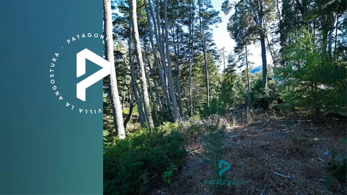 VENTA Lote 5149m2 Apto 4 casas c/costa de Rio Bonito, con medidores de luz y gas. Altos de Manzano