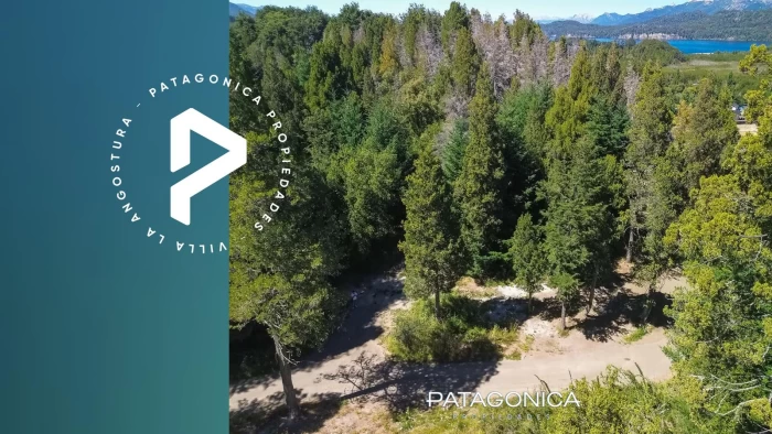 VENTA LOTE 1.320m2 B° CERRADO LAS BALSAS, VILLA LA ANGOSTURA