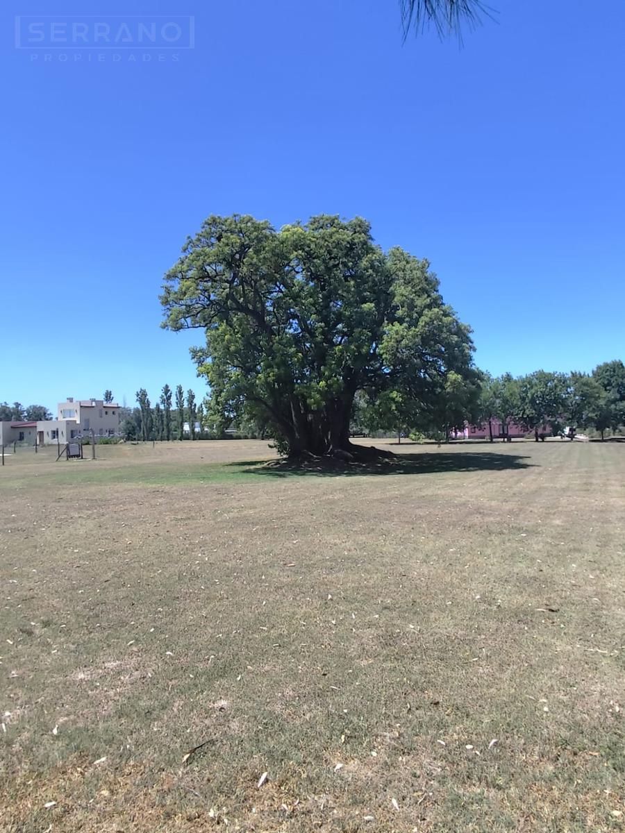 image 37