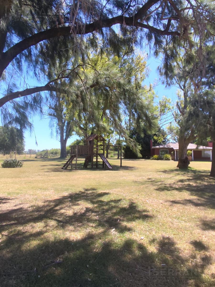 image 39