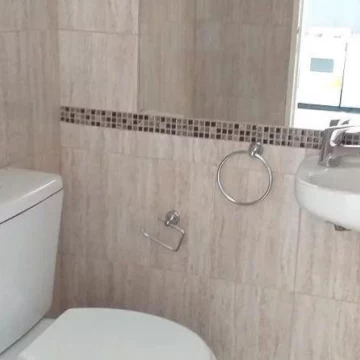1783016235.jpg
