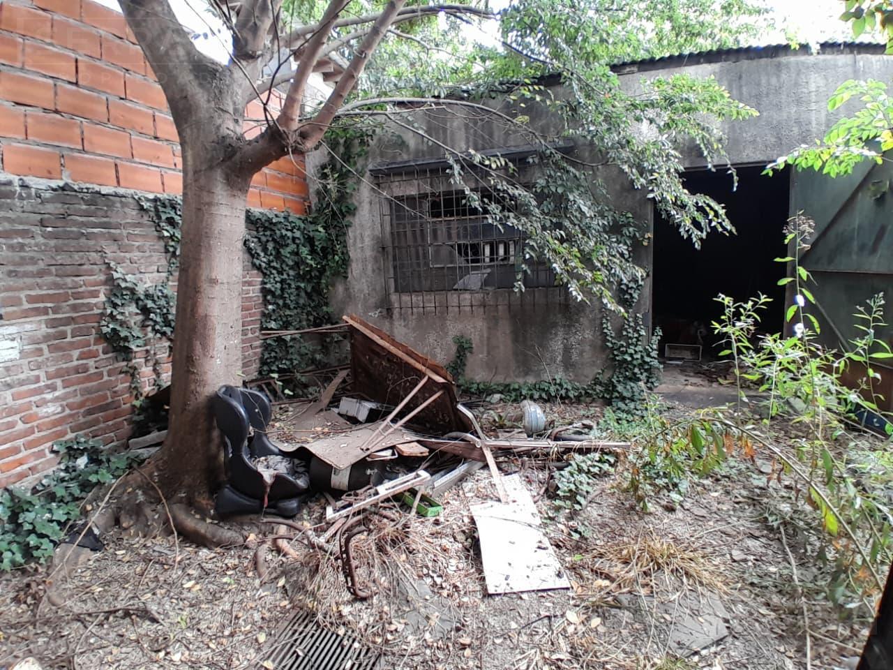 image 15