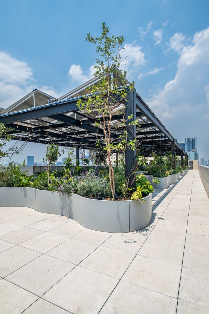 ROOF GARDEN 1.jpg