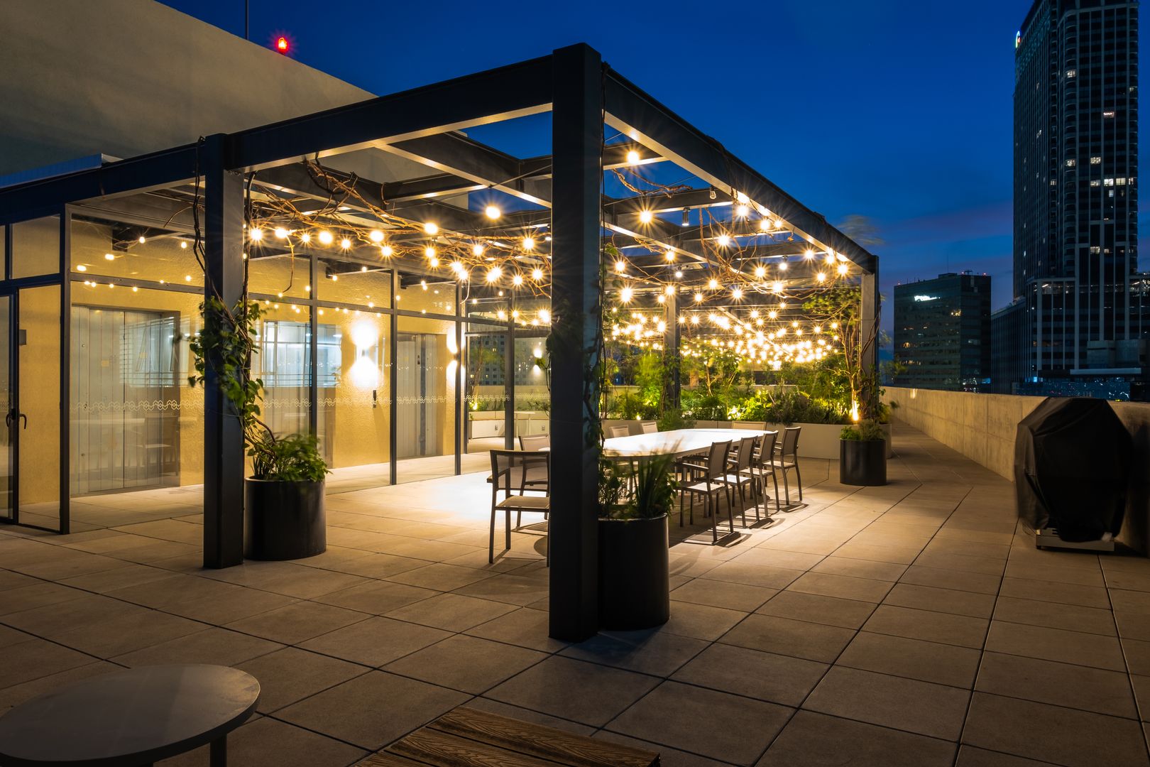 ROOF GARDEN 6.jpg