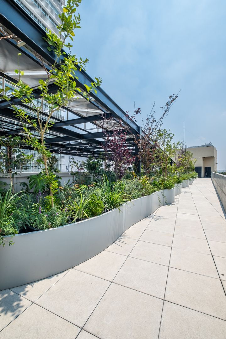 ROOF GARDEN 3.jpg