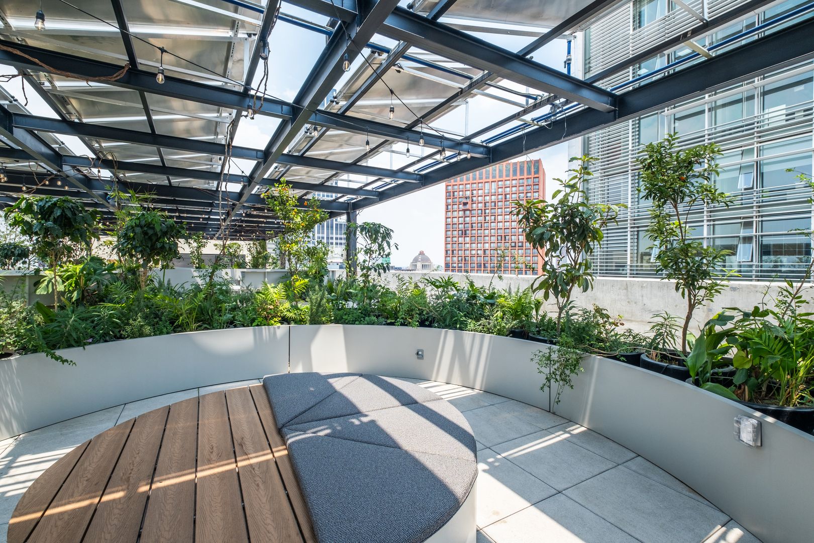 ROOF GARDEN 2.jpg