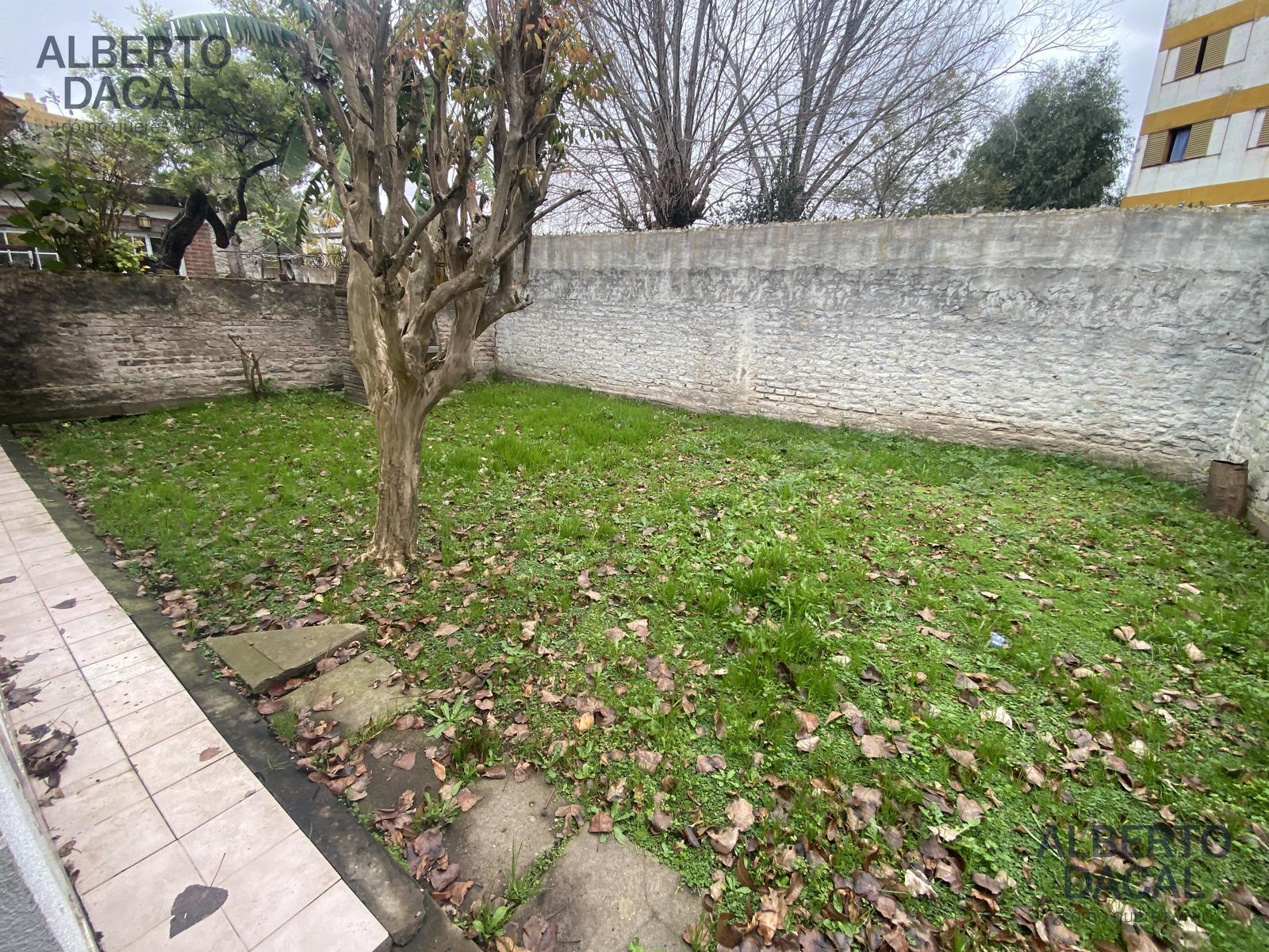 image 41