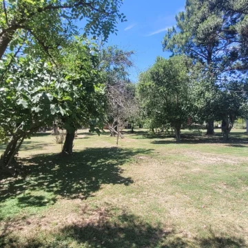Venta Chacra 4500m2 en  Mercedes, Buenos Aires