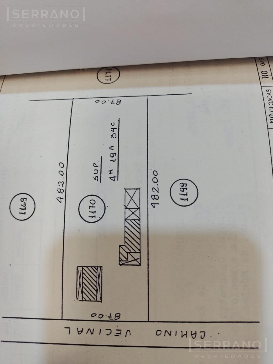 image 22