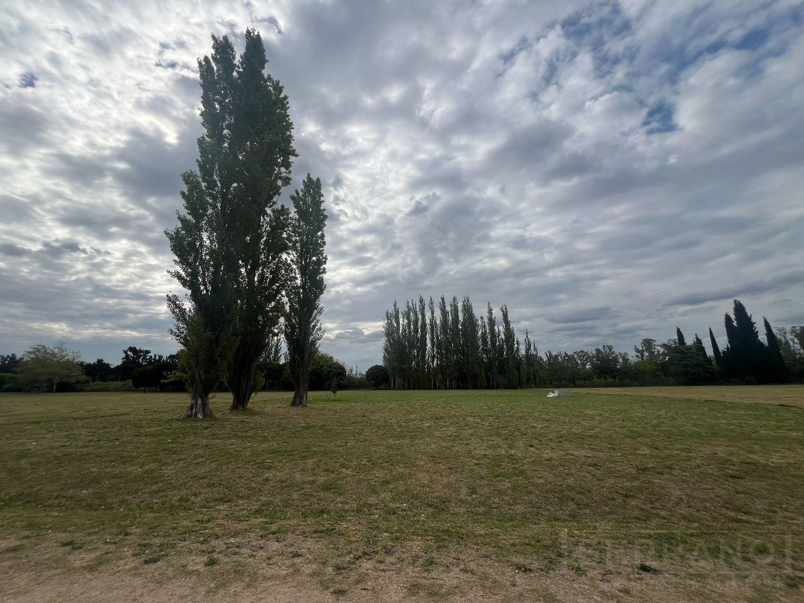 image 16
