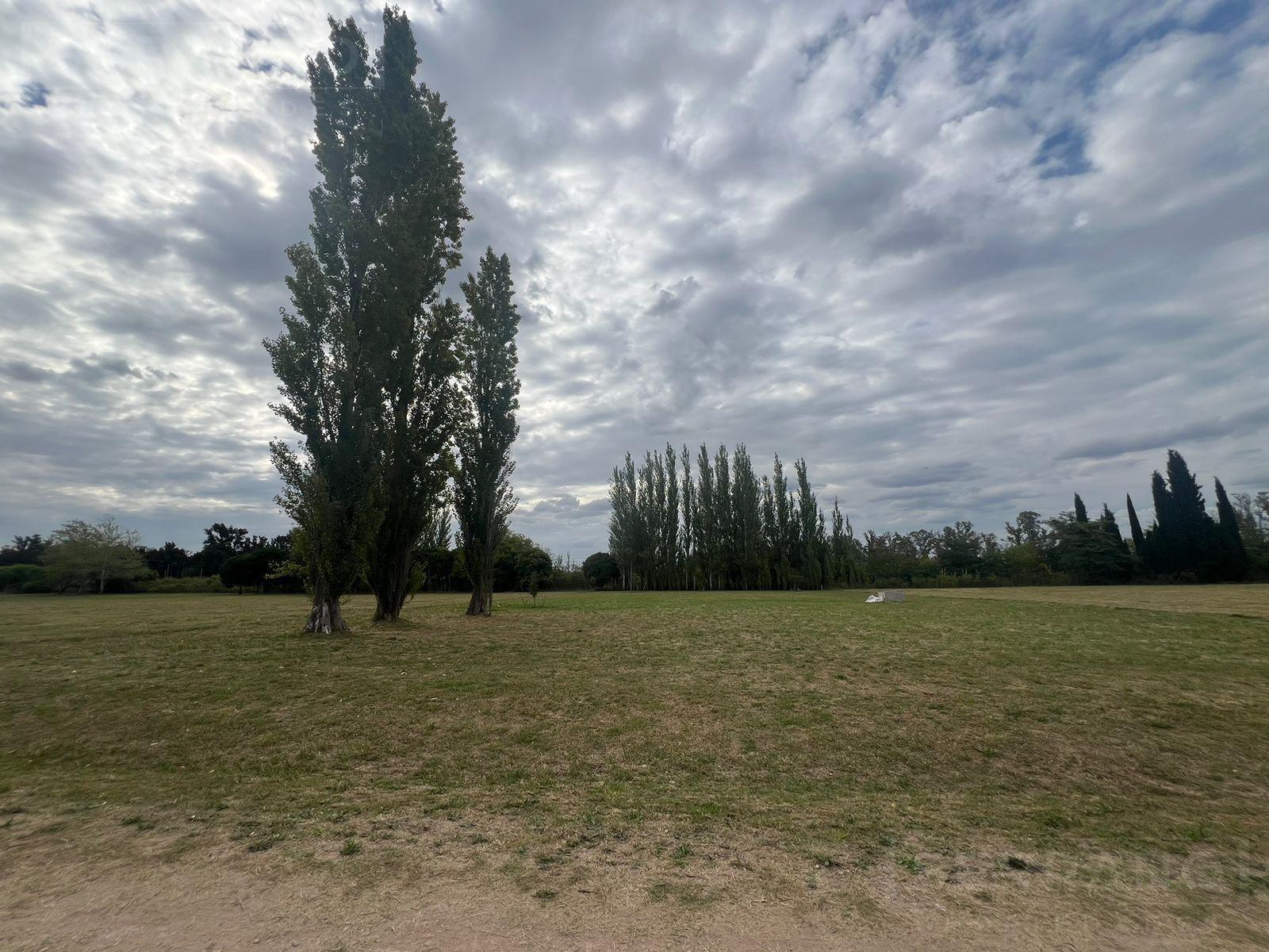 image 17