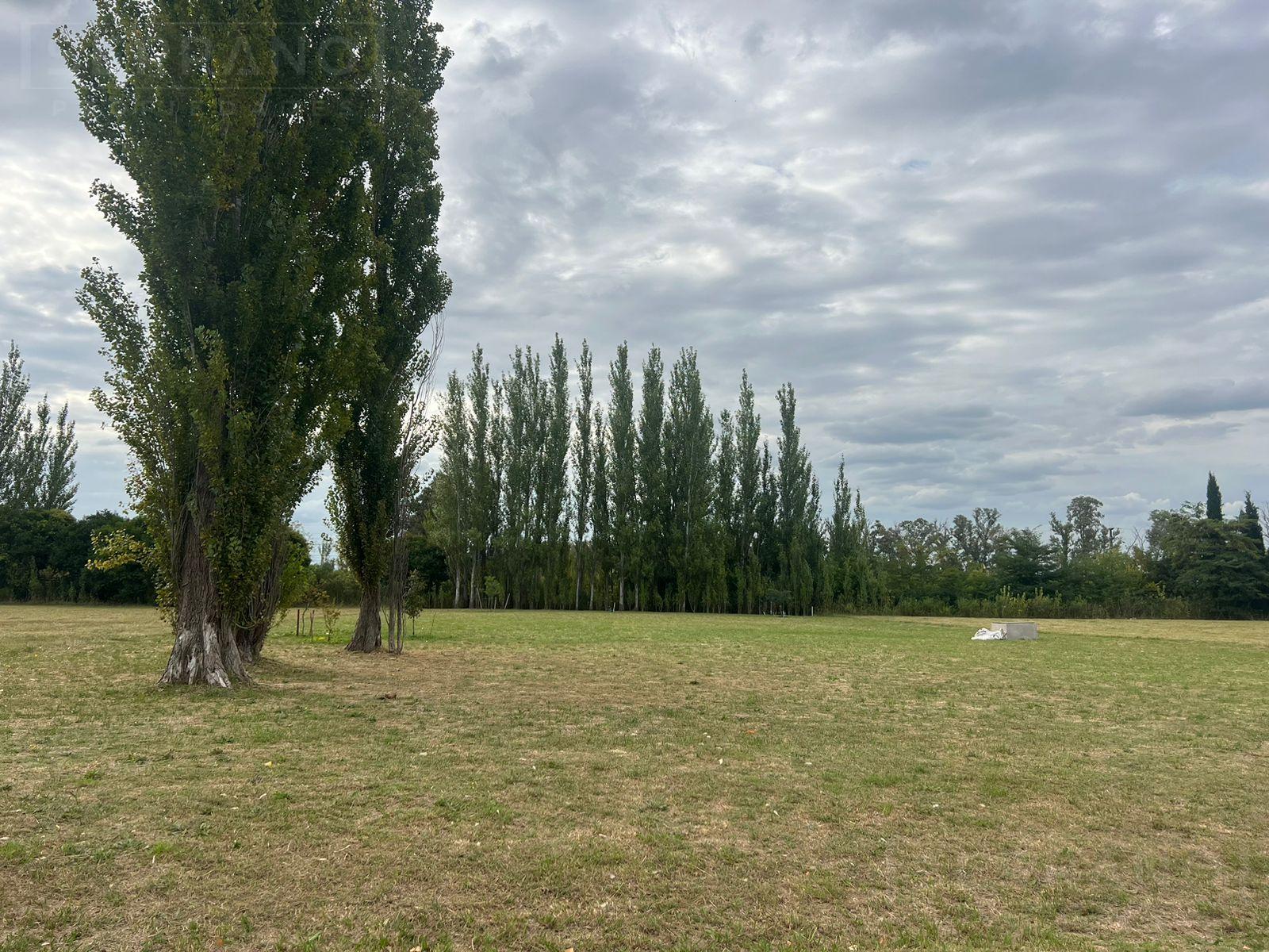 image 23