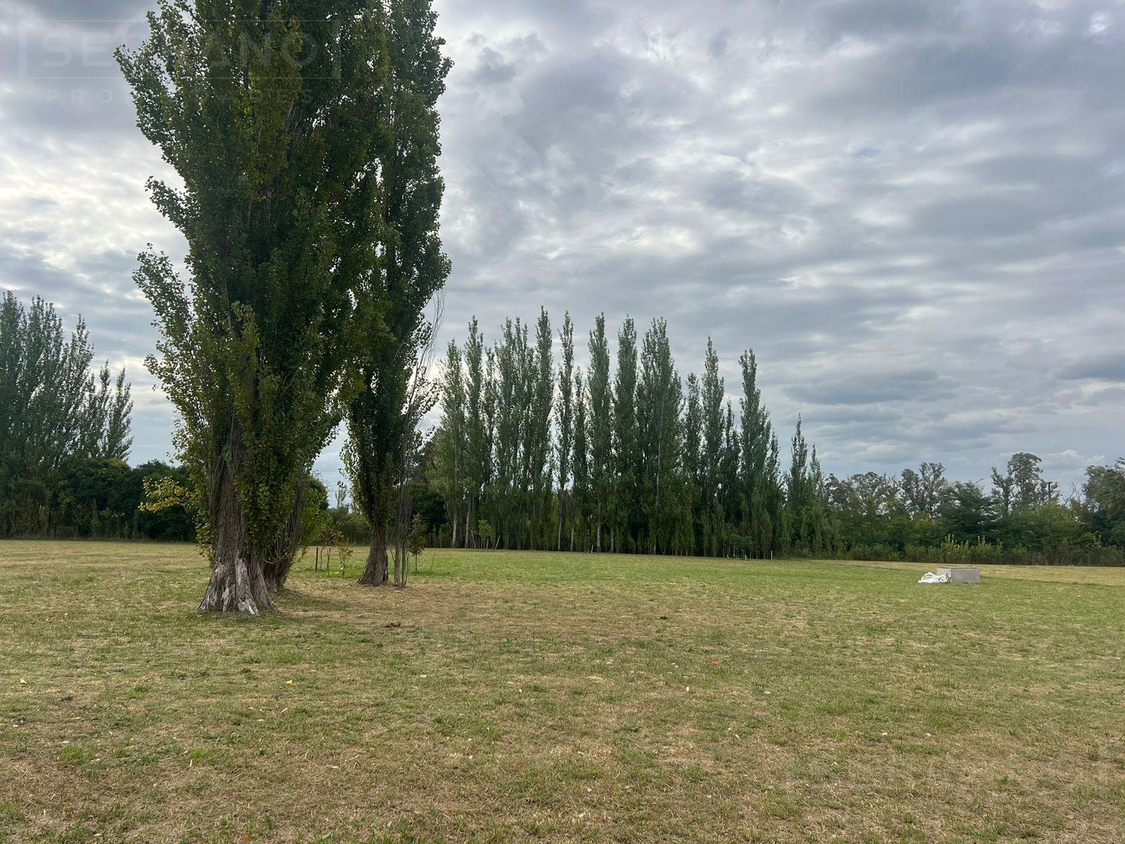 image 24