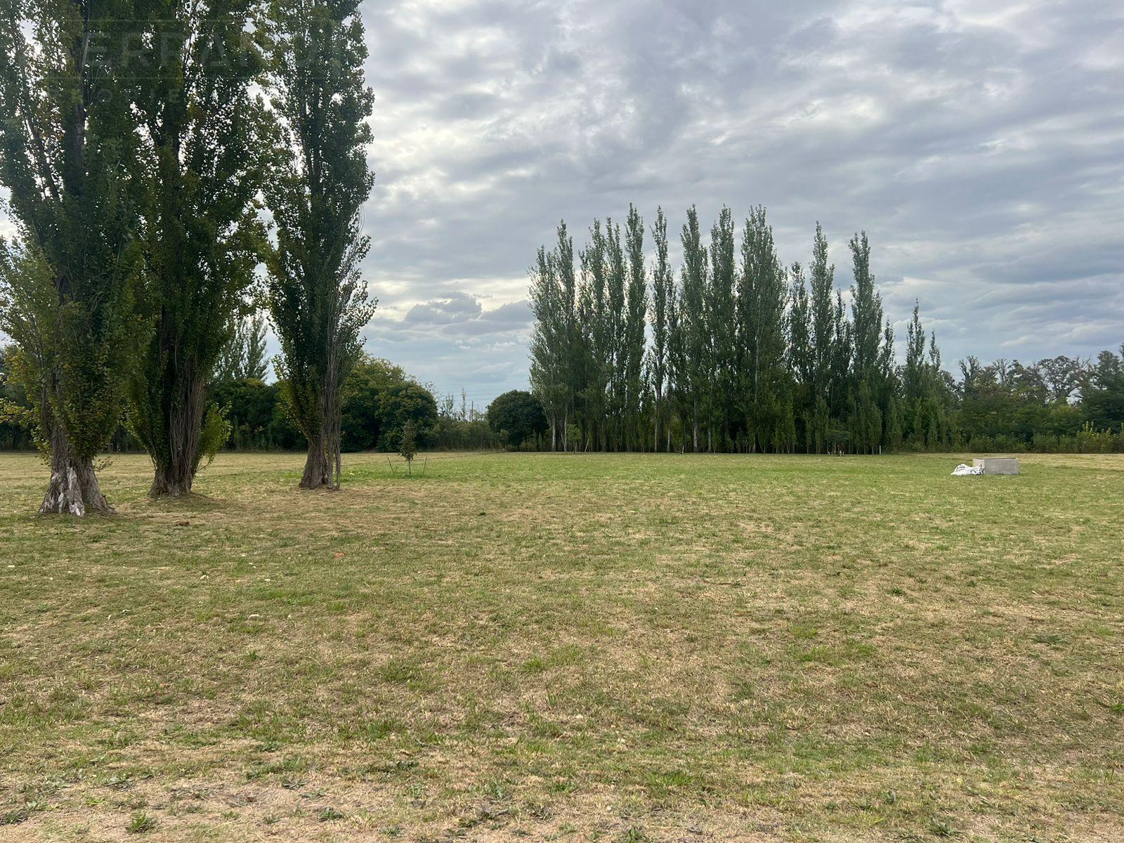 image 25