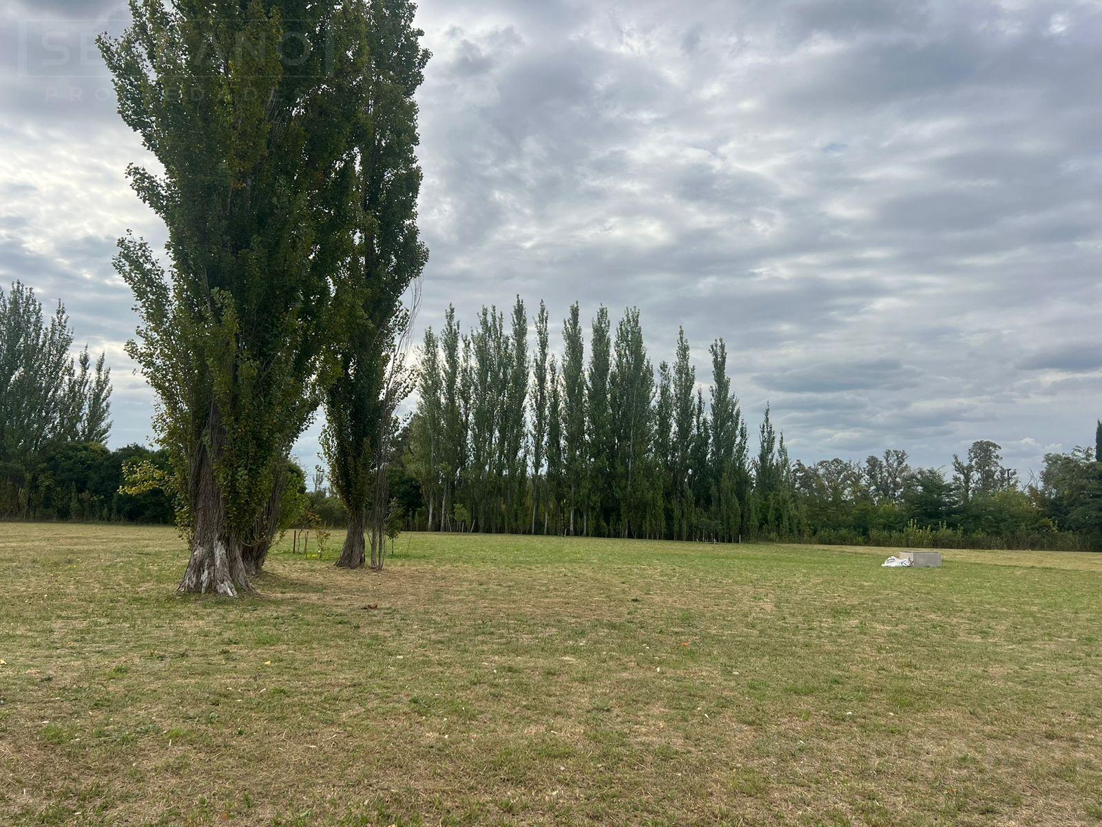 image 26