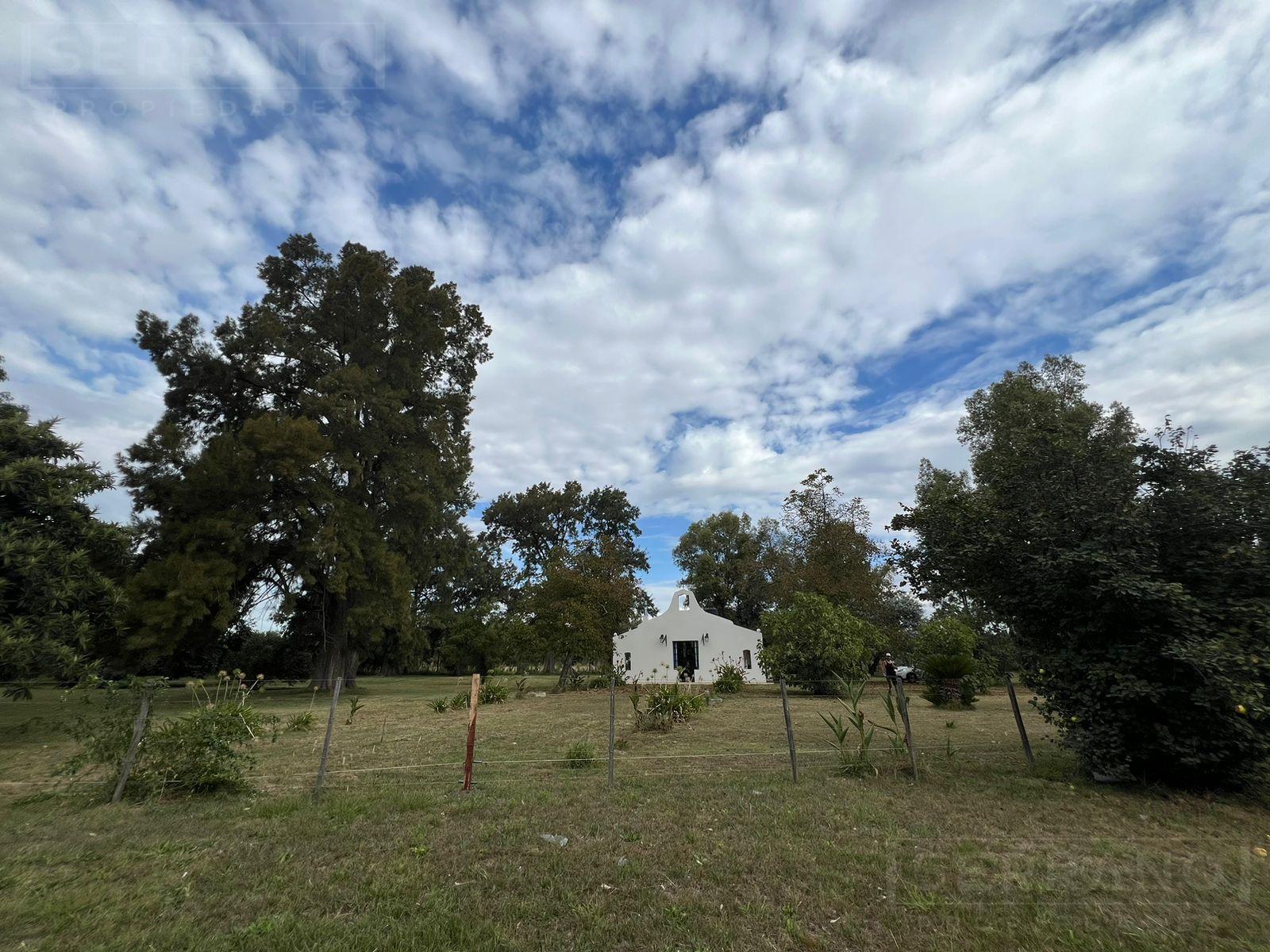 image 27