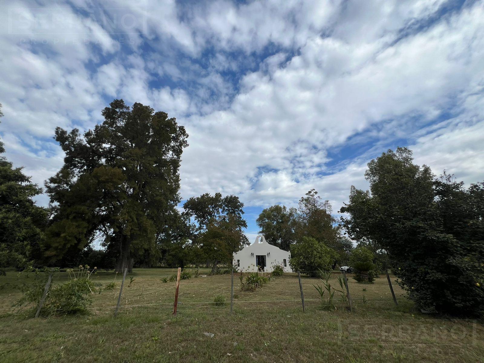image 28