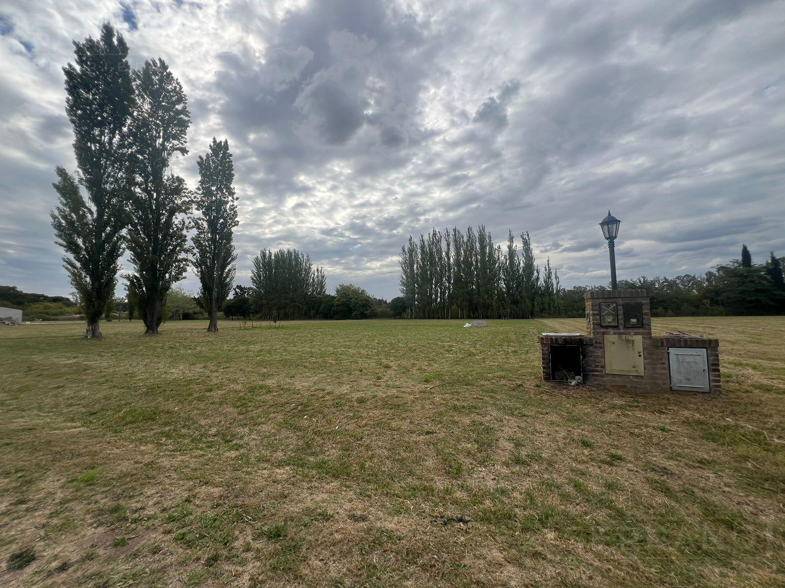 image 29