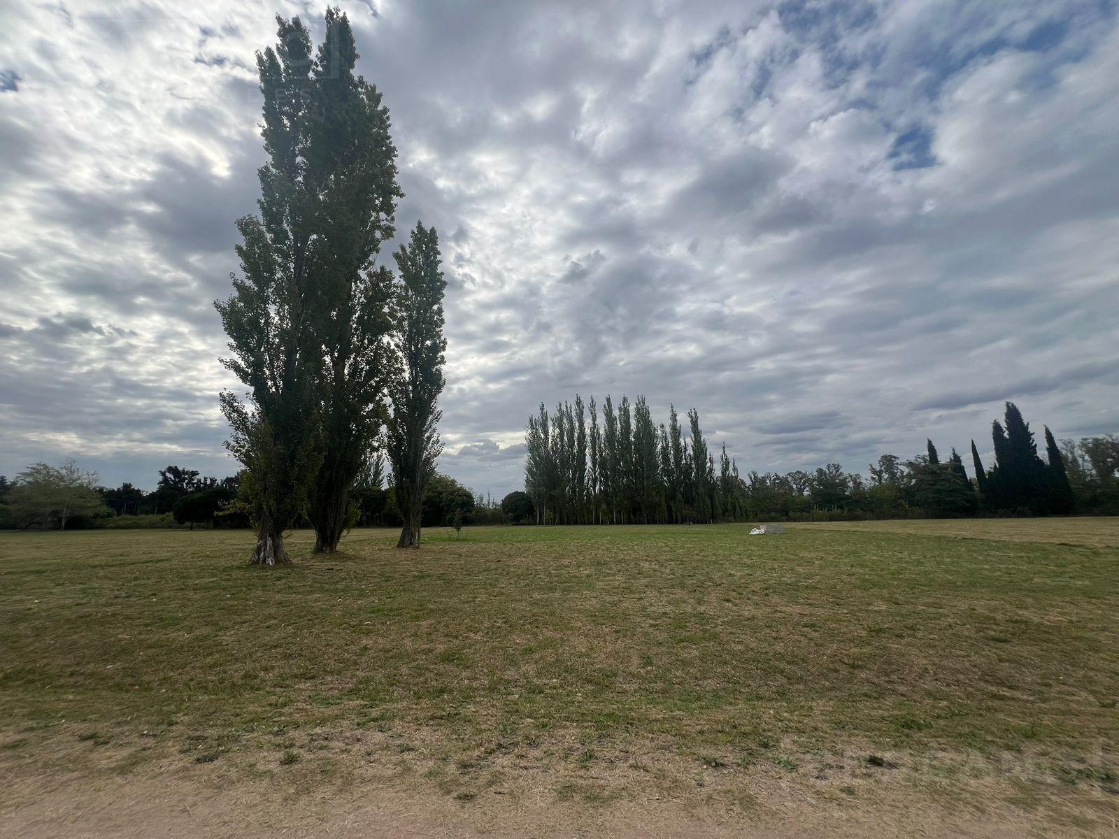 image 30
