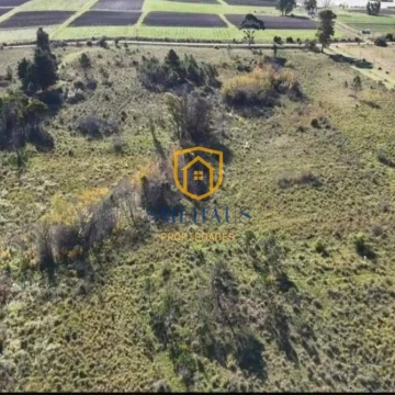 Campo en venta en Joaquín Suárez con 5 Has