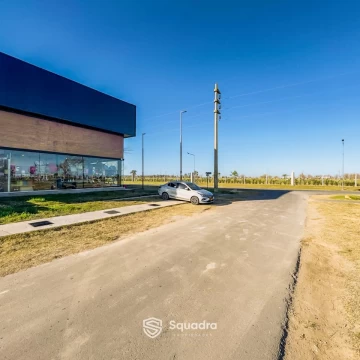 1783105976.jpg