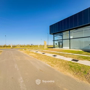 1783105977.jpg