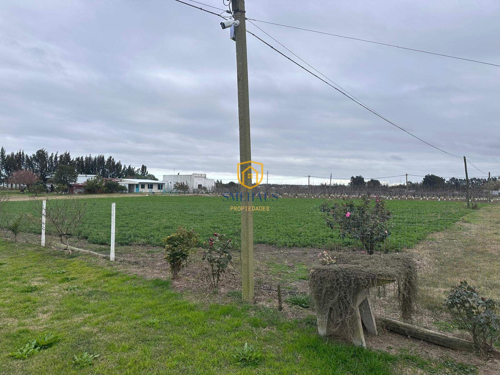 image 80