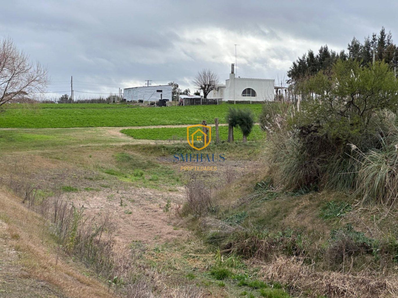 image 86
