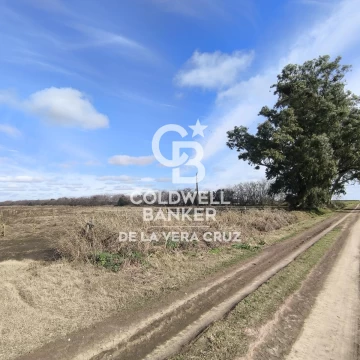 San Jerónimo Norte y Santa Maria Norte 31,23 Ha Agrícola y Ganadero
