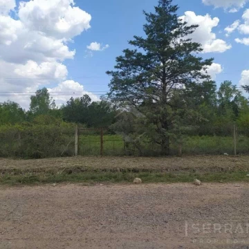 Venta Lote Terreno Colectora Sur Ruta 8 Panamericana Ramal Pilar Km 77 Exaltacion de la Cruz 4.000 m