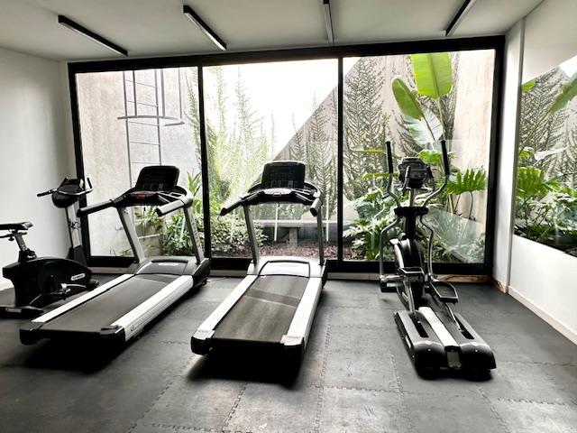 Gimnasio