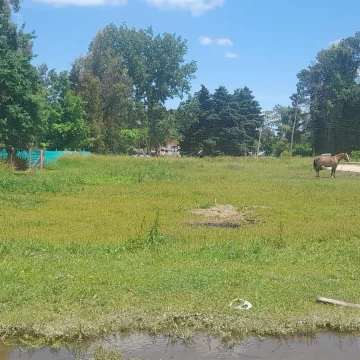Venta  Terrenos, Parque Sakura, calles  Guiraldes  e Ingenieros al 700. Exaltación de la Cruz