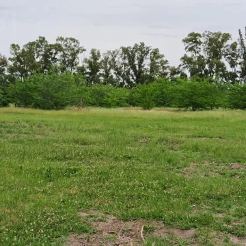 Venta lote de 5200m2 en Etchegoyen, Ruta 6 km 169, Exaltación de la Cruz