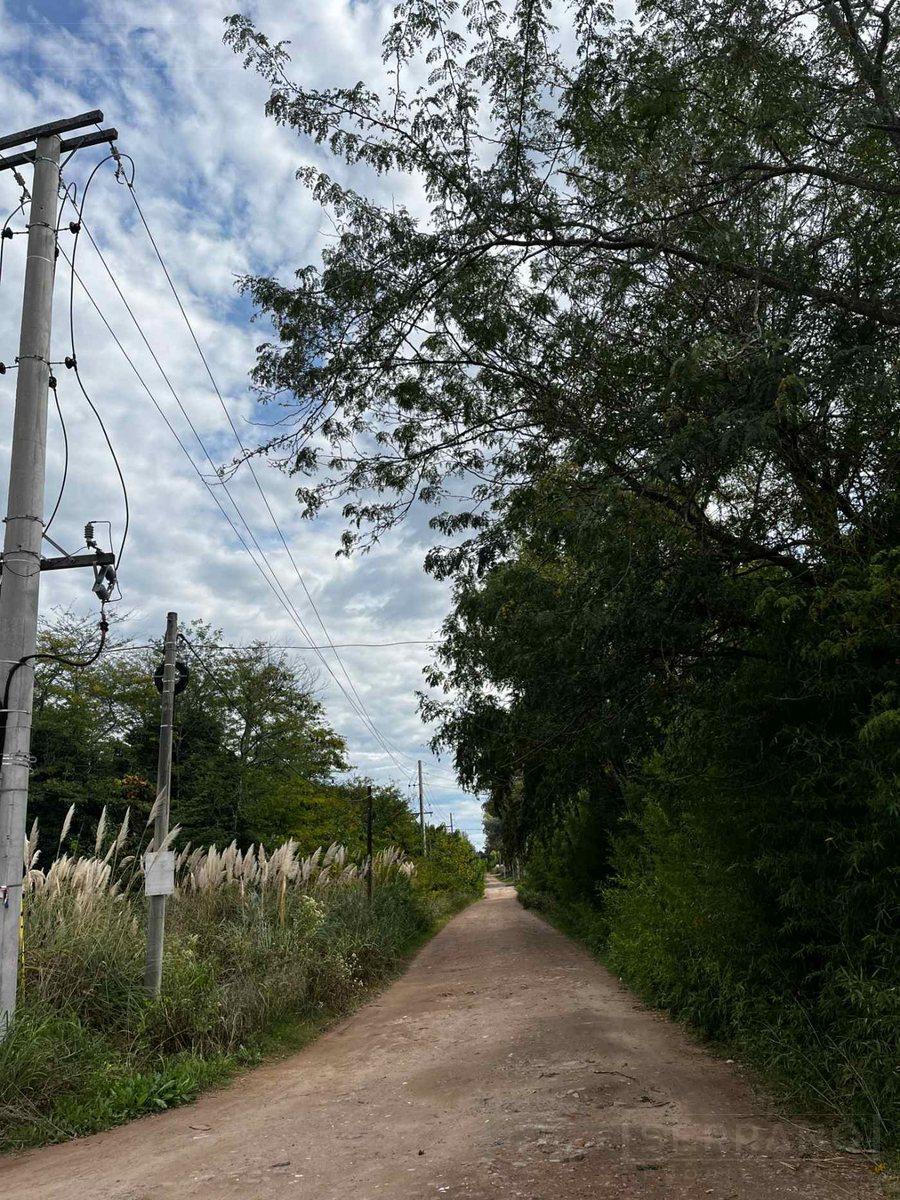 image 31