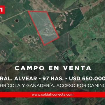 Campo de 97 ha en General Alvear – Apto agrícola ganadero - Venta