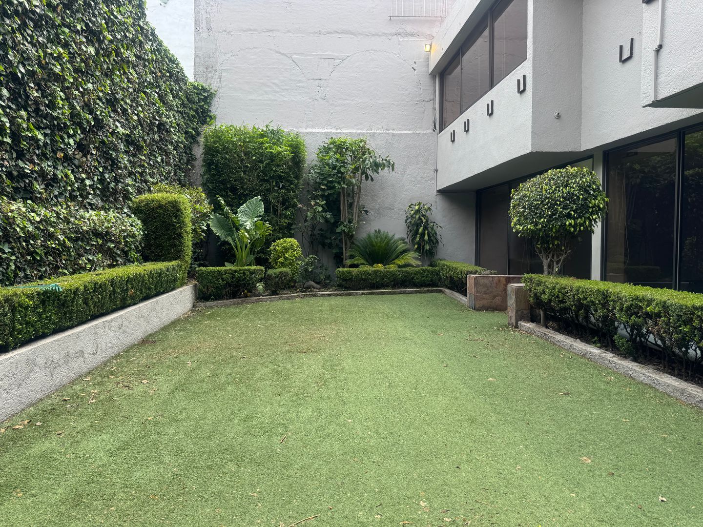 IMG_3109.jpeg