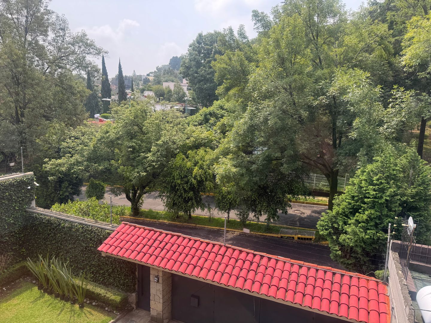 IMG_3142.jpeg