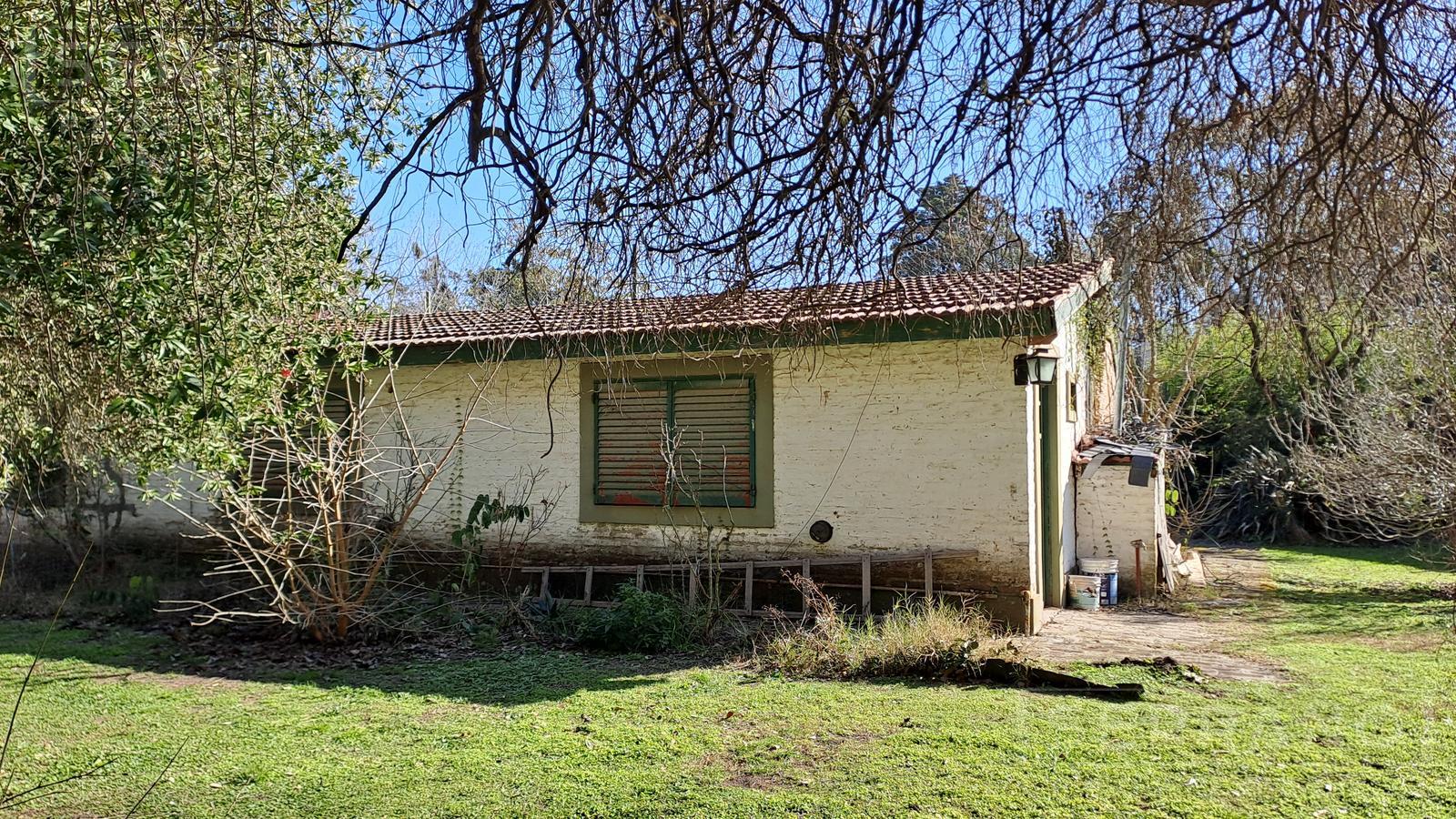 image 51