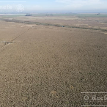 Campo en venta de 217 has en Rosario