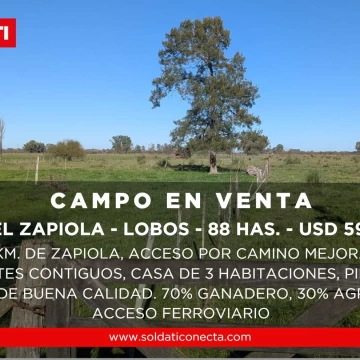 Campo Mixto de 88 Has en Zapiola con Casa, Pileta y Excelente Acceso - Venta