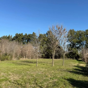 Terreno  en  frente a don mateo- Funes- 1296m2