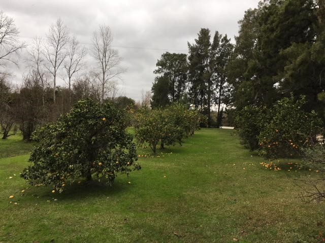 image 14